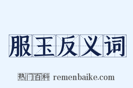 服玉反义词是什么意思的图片